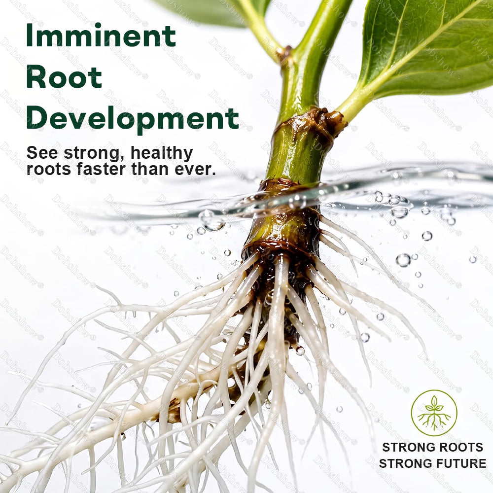 👨🌾𝐎𝐟𝐟𝐢𝐜𝐢𝐚𝐥 𝐔𝐒 𝐒𝐭𝐨𝐫𝐞🌱Healrize® Plant Fertilizer Liquid Plant Food Concentrate✨Time-Limited Discount🎉
