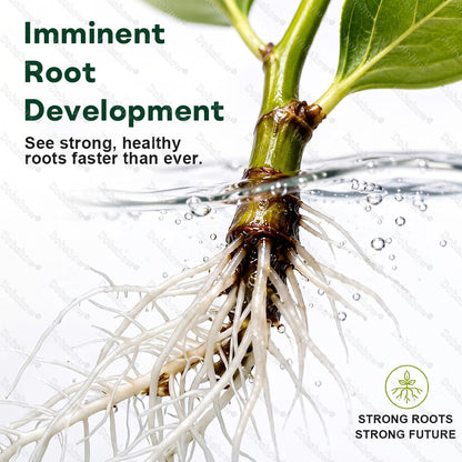 👨‍🌾𝐎𝐟𝐟𝐢𝐜𝐢𝐚𝐥 𝐔𝐒 𝐒𝐭𝐨𝐫𝐞🌱Healrize® Plant Fertilizer Liquid Plant Food Concentrate✨Time-Limited Discount🎉