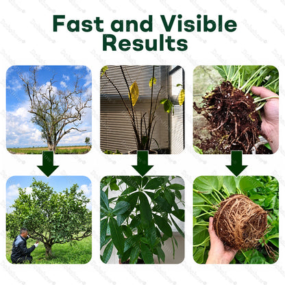 👨‍🌾𝐎𝐟𝐟𝐢𝐜𝐢𝐚𝐥 𝐔𝐒 𝐒𝐭𝐨𝐫𝐞🌱Healrize® Plant Fertilizer Liquid Plant Food Concentrate✨Time-Limited Discount🎉