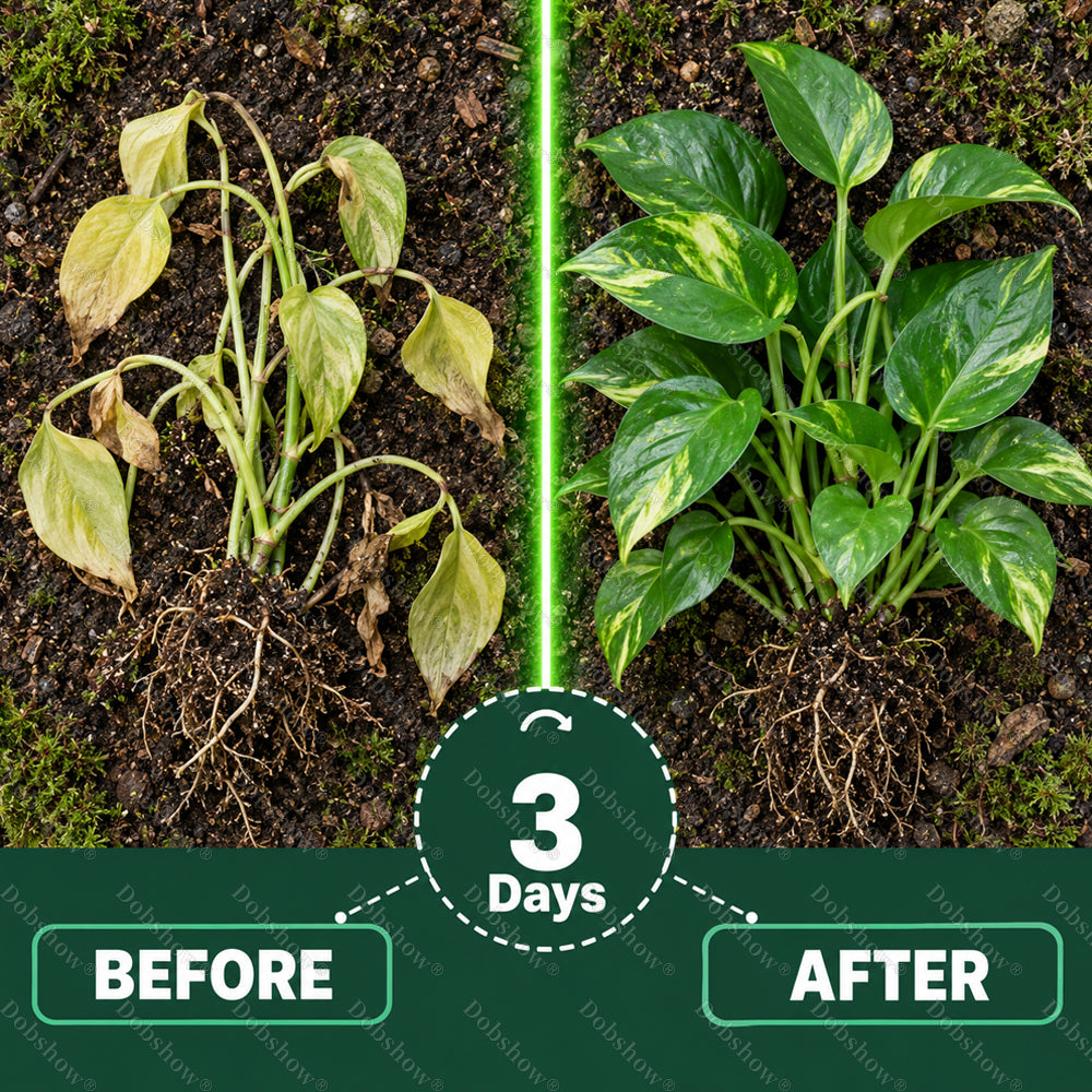 👨‍🌾𝐎𝐟𝐟𝐢𝐜𝐢𝐚𝐥 𝐔𝐒 𝐒𝐭𝐨𝐫𝐞🌱Healrize® Plant Fertilizer Liquid Plant Food Concentrate✨Time-Limited Discount🎉