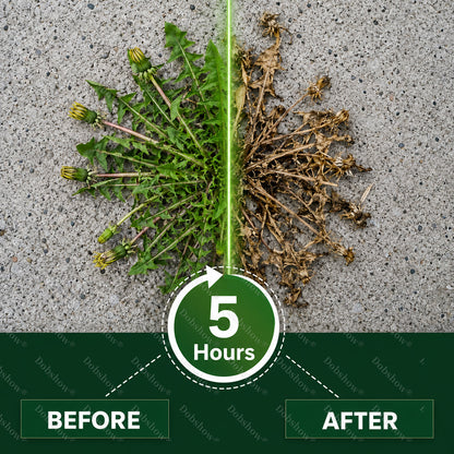 👨‍🌾𝐎𝐟𝐟𝐢𝐜𝐢𝐚𝐥 𝐔𝐒 𝐒𝐭𝐨𝐫𝐞🍂Healrize® 5-Hour Max Power Dual-Action Herbicide✨Time-Limited Discount🎉