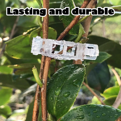 Plant Support Clips, Upright Growth Support for Tomato & Grape Vines - White Plastic Trellis Clips for Vegetables