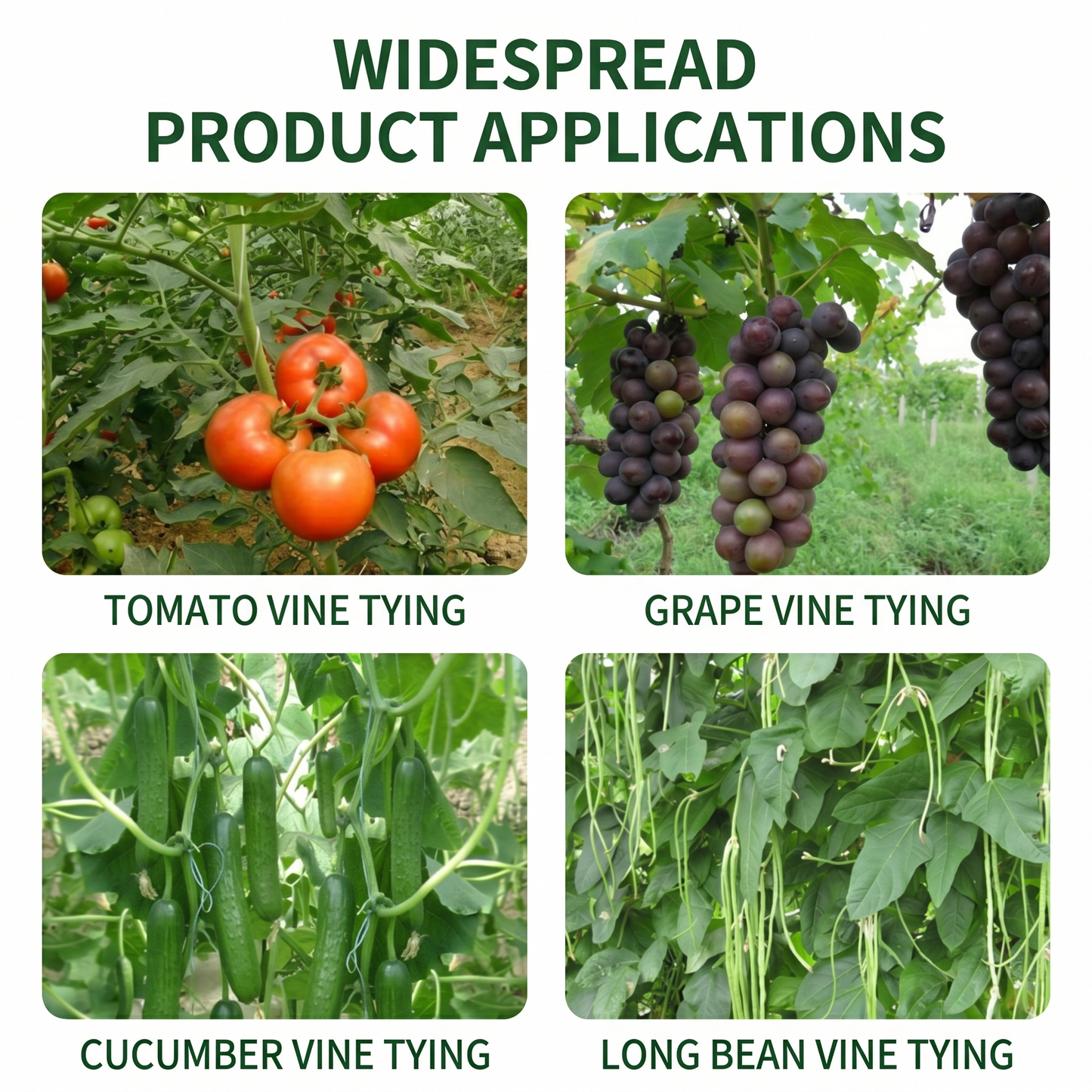 Plant Support Clips, Upright Growth Support for Tomato & Grape Vines - White Plastic Trellis Clips for Vegetables